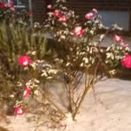 Doris Oneal - Facebook