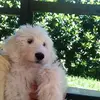 Doris Oneill - @user04606496 - TikTok