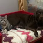 Doris_Roman PATİ 🐾 - @doris_roman2 - Instagram