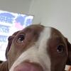 Doris Orrego Rincon - @dorisorregorincon - TikTok