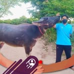 Doris Ortega - Facebook