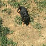 Doris Osborne - @doris.osborne.1460 - Instagram