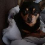 Doris Osborne - @doris.osborne.9674 - Instagram