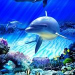 Doris Osborne - @doris.osborne.5686 - Instagram