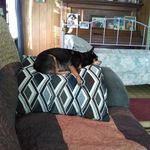 Doris Osborne - @doris.osborne.96995 - Instagram