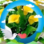 Doris Osuna - Facebook