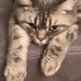 Doris Oswald - Facebook