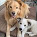 Doris Oswald - Facebook