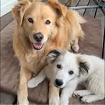 Doris Oswald - @doris.oswald - Instagram