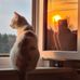 Doris Oswald - Facebook