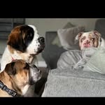 Doris & rosie & otto - @x.doris.rosie.otto.x - Instagram