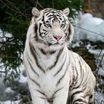 Doris Ott - @ottdoris - Instagram