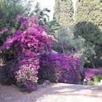 Doris Ott - @doris.ott.142 - Instagram