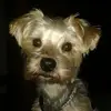 dorisotten735 - @dorisotten735 - TikTok