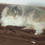 Doris Otto - @ottodoris - Instagram