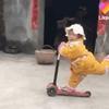 Doris Ou - @dorisou5 - TikTok