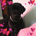 Doris Oury Wolter - @dorisourywolter - Instagram