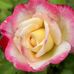 Doris Ouellette - Facebook