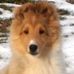 Doris Overstreet - Facebook