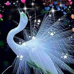 Doris Owen - @dorisowen654 - Instagram