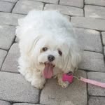 Doris Pacheco Negron - @doris.pacheconegron - Instagram