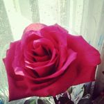 Doris packer - @doris.packer0 - Instagram