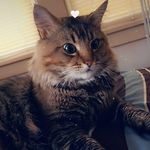 Doris Pagan Rojas - @doris_daddys_gurl_4_life - Instagram