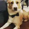dorispalazzo - @dorispalazzo - TikTok