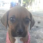 doris_pandora - @doris.pandora - Instagram