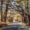 dorisbienkowskipa - @dorispanza315 - TikTok