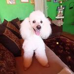 Doris Parada - @dorita_parada - Instagram
