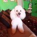 Doris Parada - Facebook