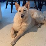 Doris Parenteau - @dorisparenteau - Instagram