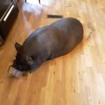 Doris Parks - @doris.parks.522066 - Instagram