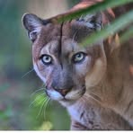 Doris Parks Emmons - Facebook