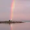 happy - @dorisparks1 - TikTok