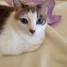 Doris Parsons - Facebook