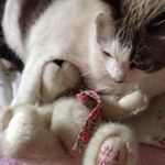 Doris Parsons - @goosieparsons - Instagram