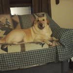 Doris Patch - @patch9105 - Instagram