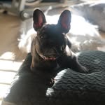 Doris Patrick - @dorispatrick655 - Instagram