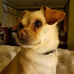 Doris Paul - @doris_paul_ - Instagram