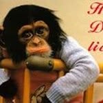 Doris Paulsen - @doris.paulsen.7 - Instagram