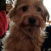 Doris Pauly - Facebook