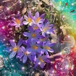 Doris Pauly - @dopa0852 - Instagram