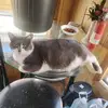 fRenee Doris Paxton - @frenee.doris.paxt - TikTok