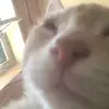 🧡Peach & Doris🧡 - @peach.doris - TikTok