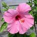 Doris Peake - Facebook