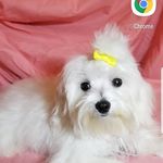 Doris Pease - @pease.doris - Instagram