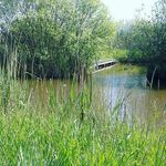 Doris Pecka - @doris_pecka - Instagram