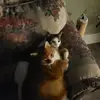 Doris Pellerine - @doris.pellerine - TikTok